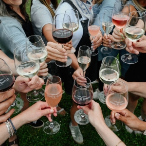 group cheers dune bird wine glasses