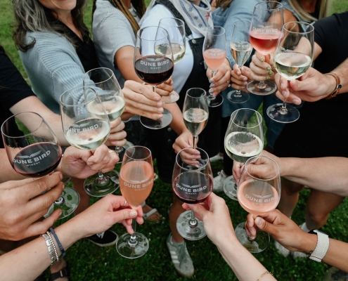 group cheers dune bird wine glasses