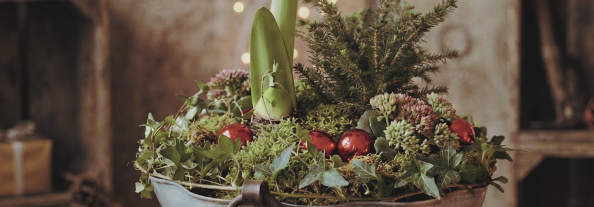 event flyer for Amaryllis workshop at Dune Bird Winery